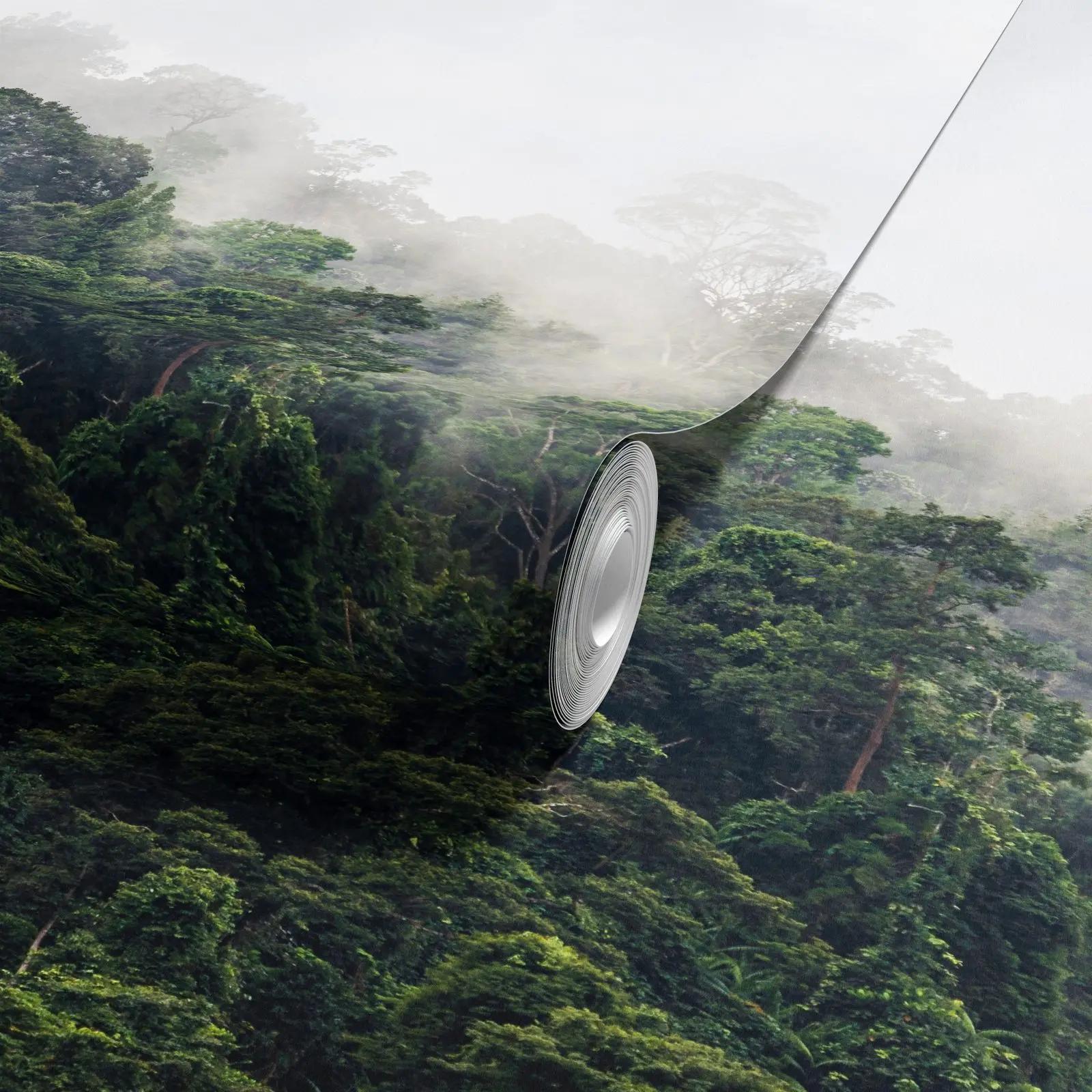 Misty Rainforest Photography Wallpaper Mural