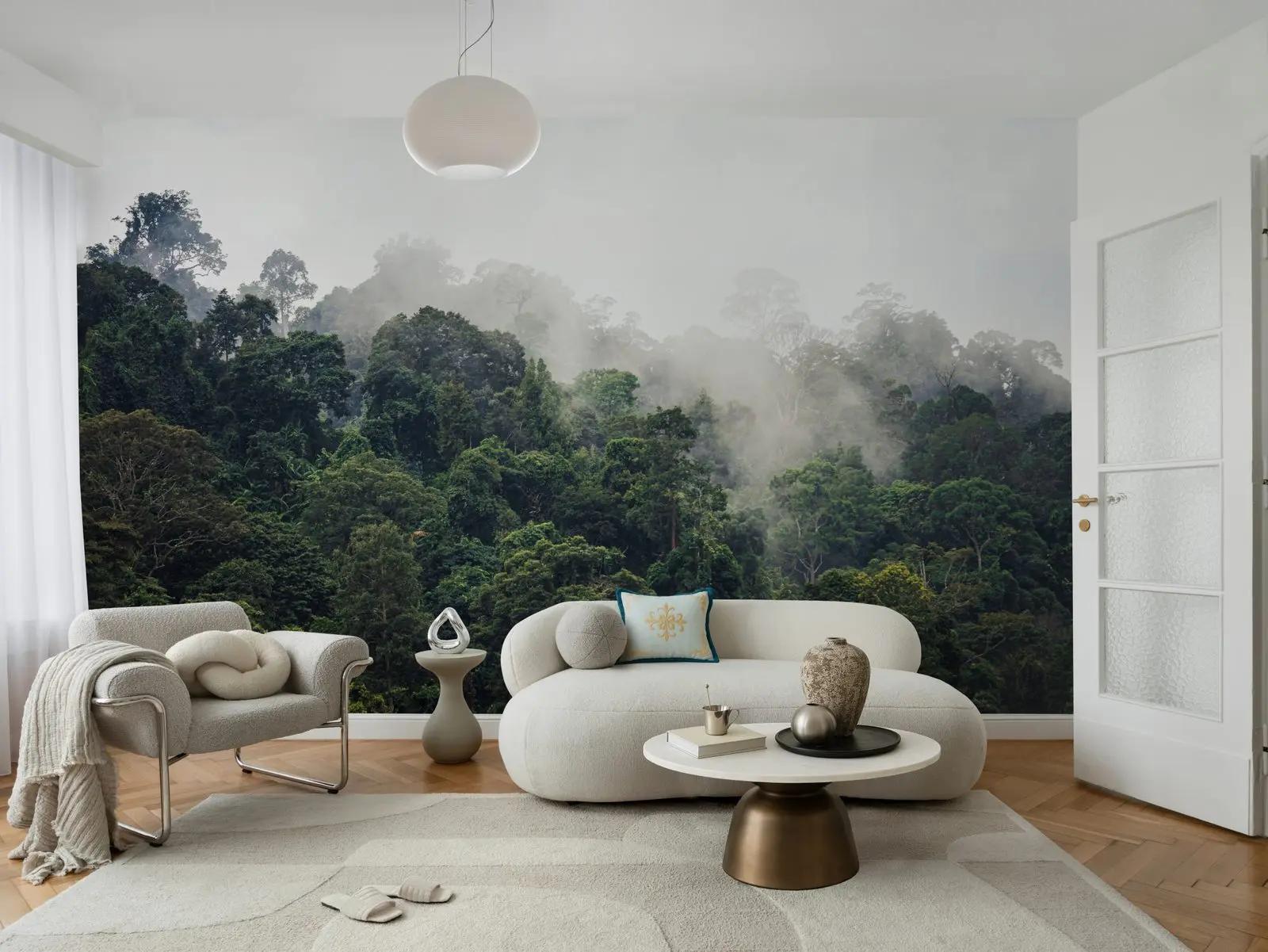 Misty Rainforest Photography Wallpaper Mural