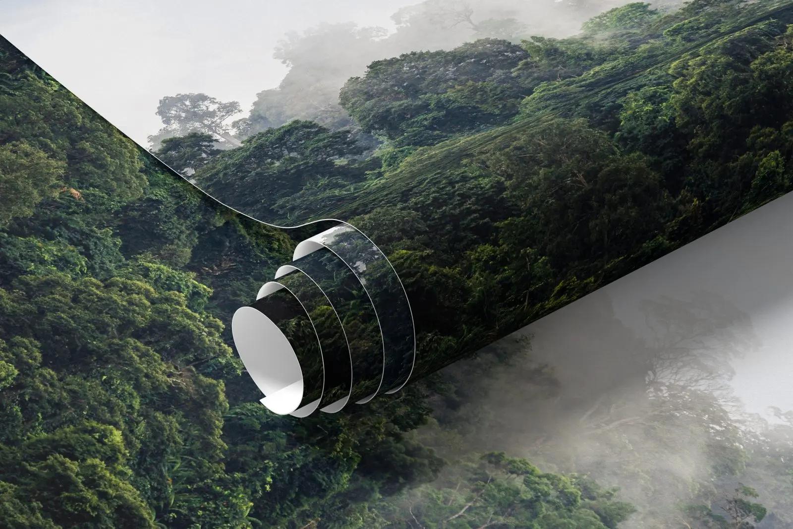 Misty Rainforest Photography Wallpaper Mural
