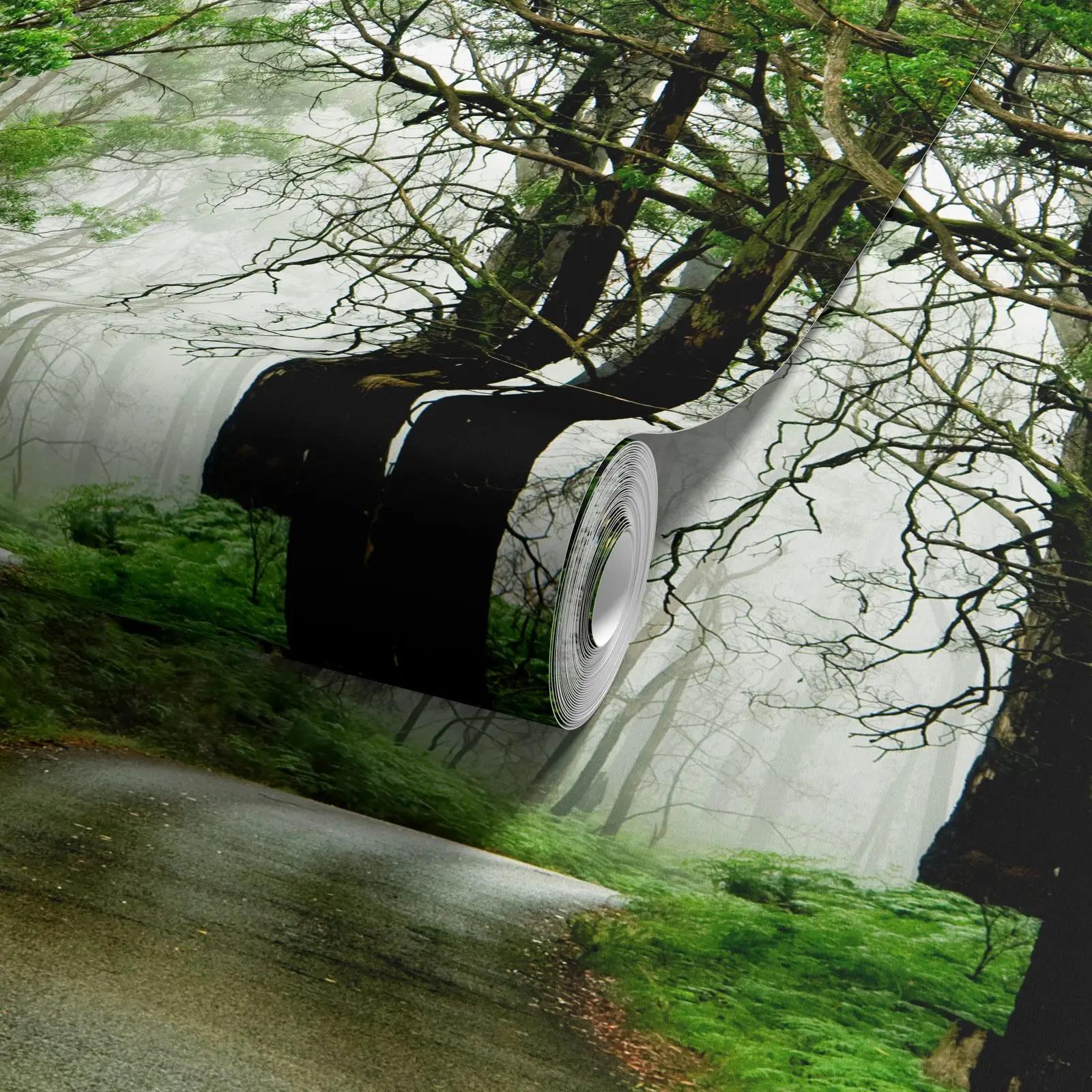 Misty Woodland Road Wallpaper Mural