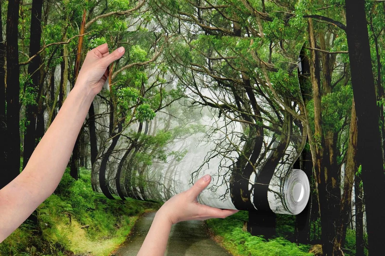 Misty Woodland Road Wallpaper Mural