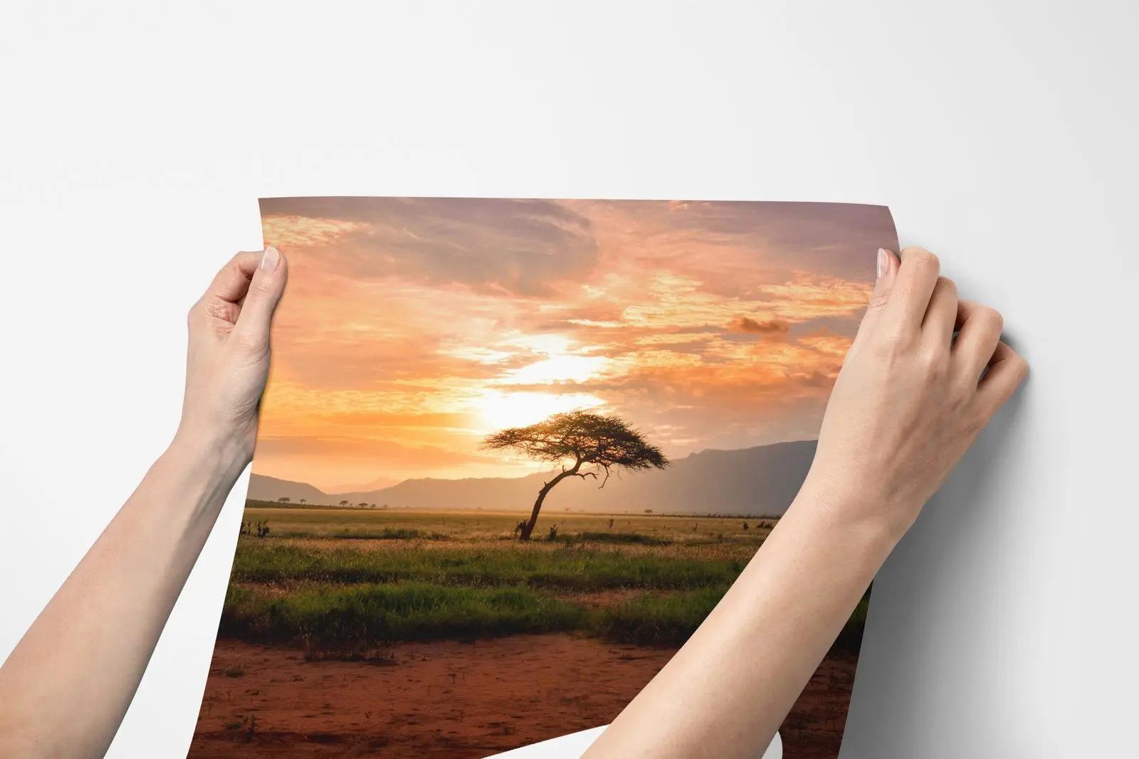 African Savannah Sunset Wallpaper Mural
