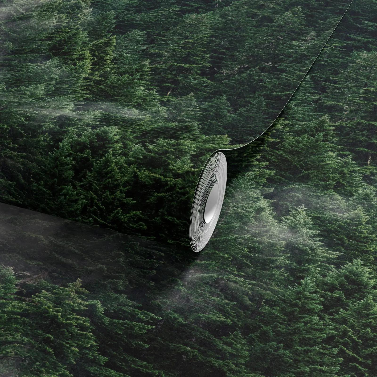 Misty Evergreen Forest Wallpaper Mural