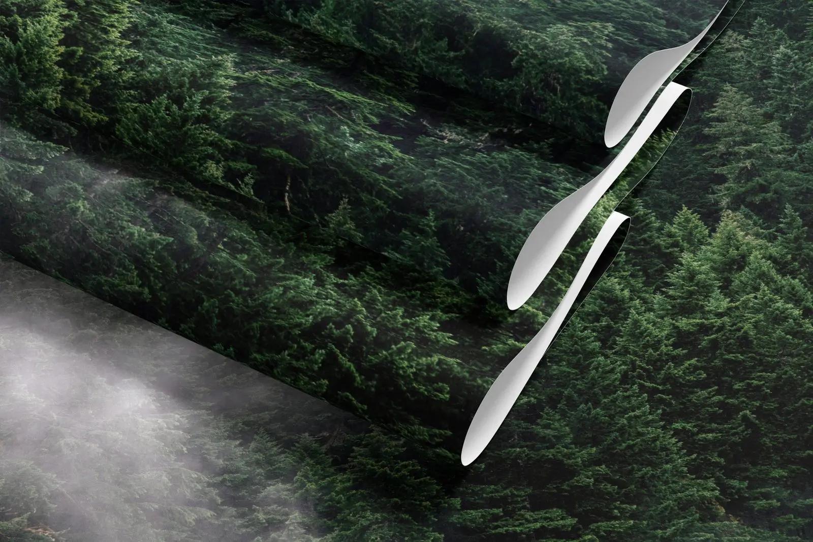 Misty Evergreen Forest Wallpaper Mural