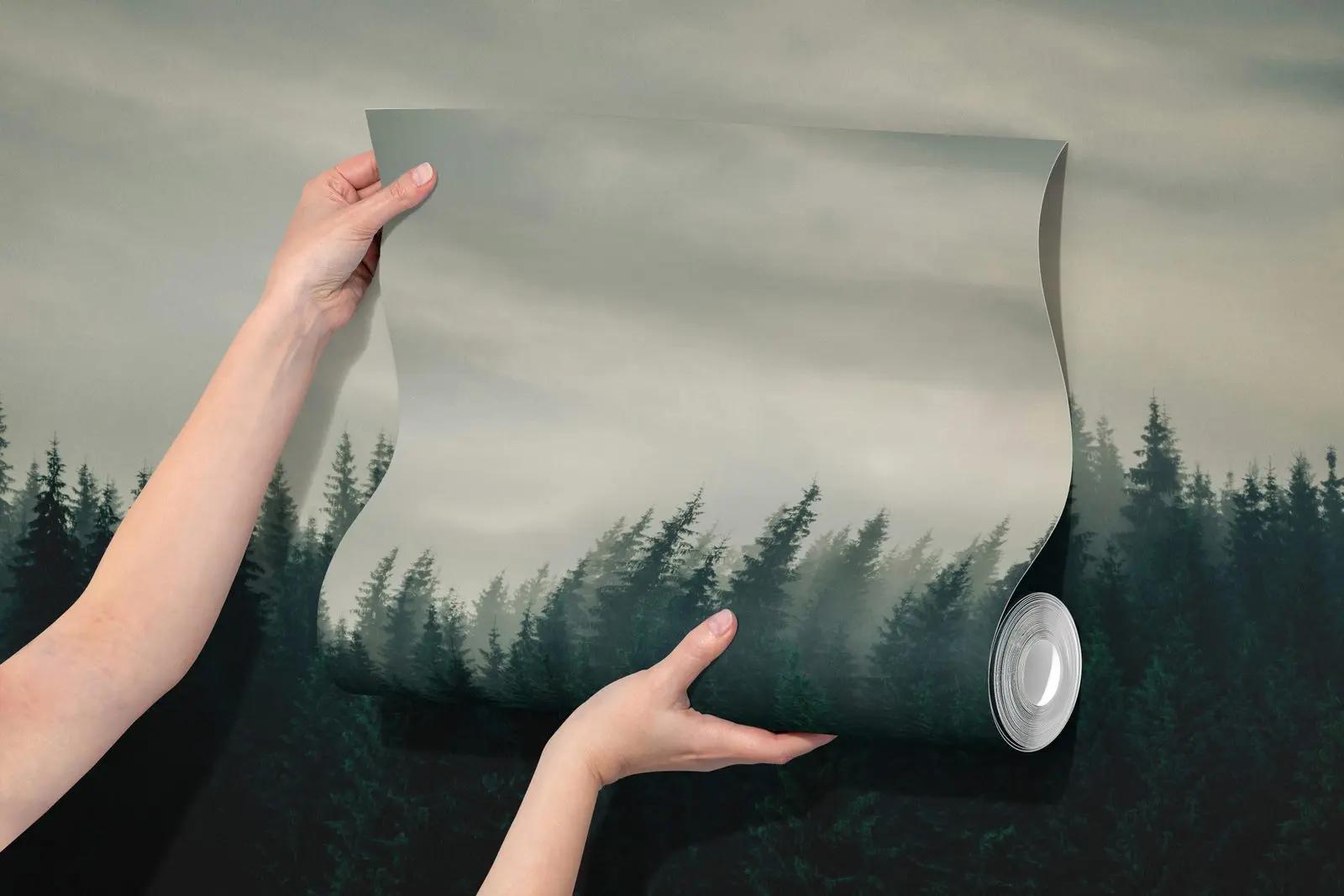 Misty Pine Forest Wallpaper