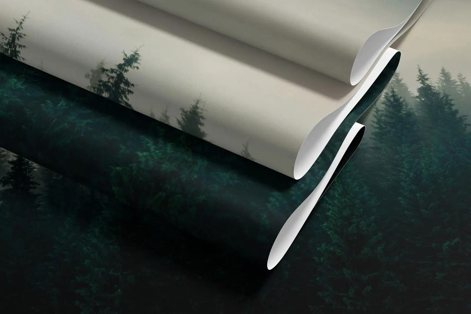 Misty Pine Forest Wallpaper