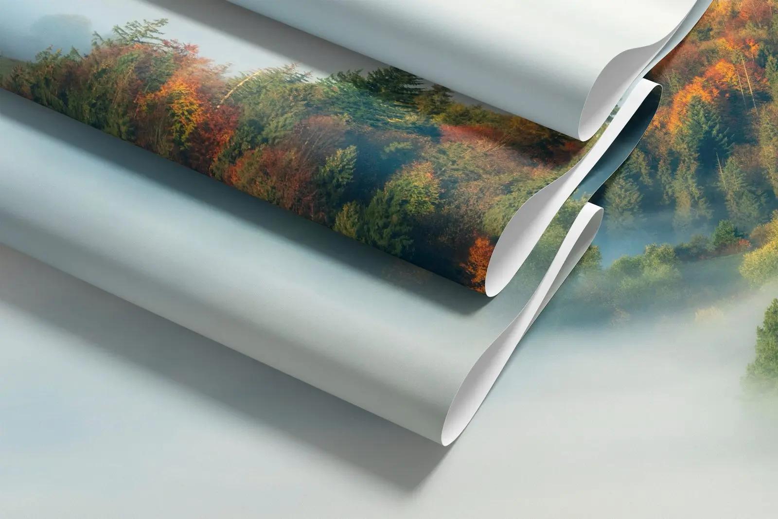 Misty Autumn Forest Wallpaper Mural