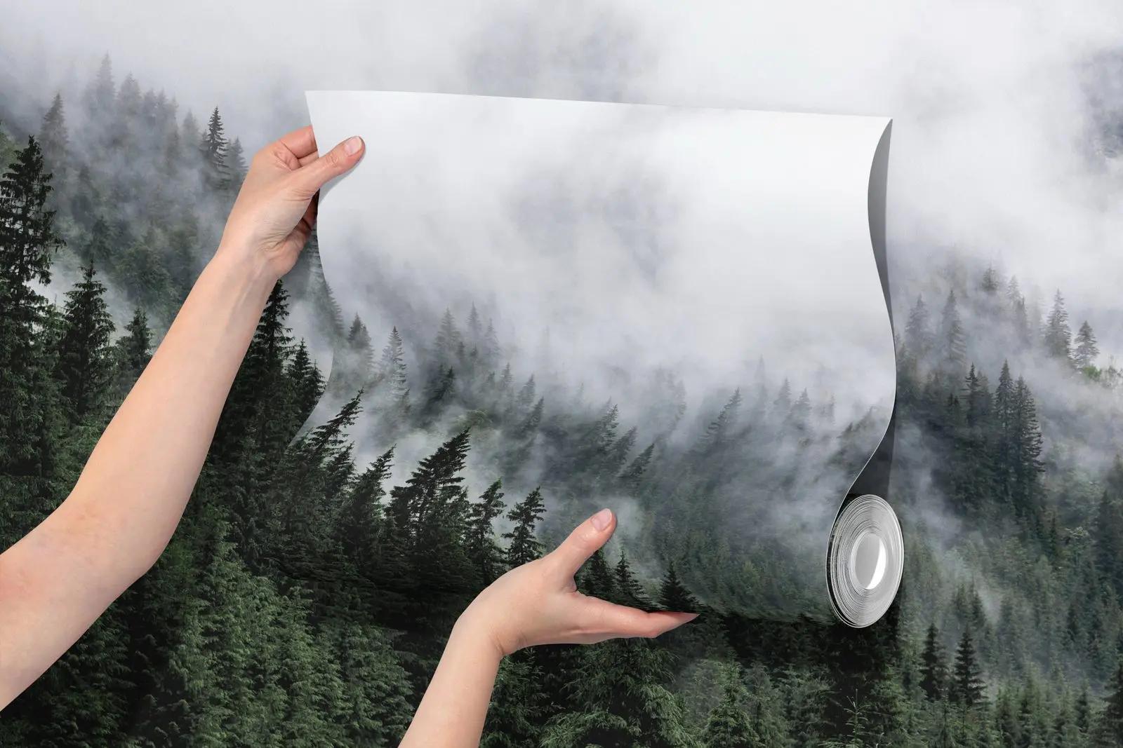 Misty Conifer Forest Wallpaper Mural