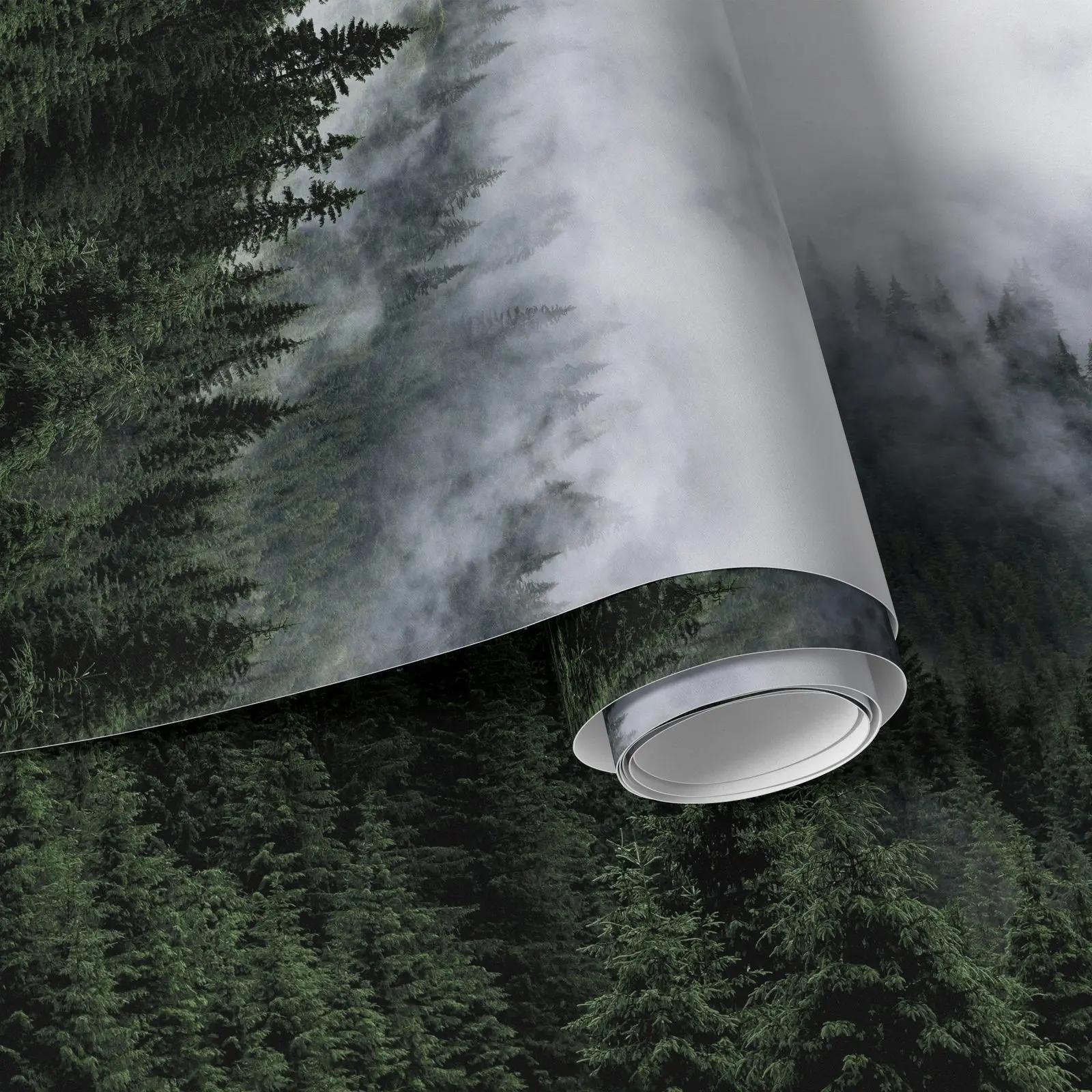 Misty Conifer Forest Wallpaper Mural