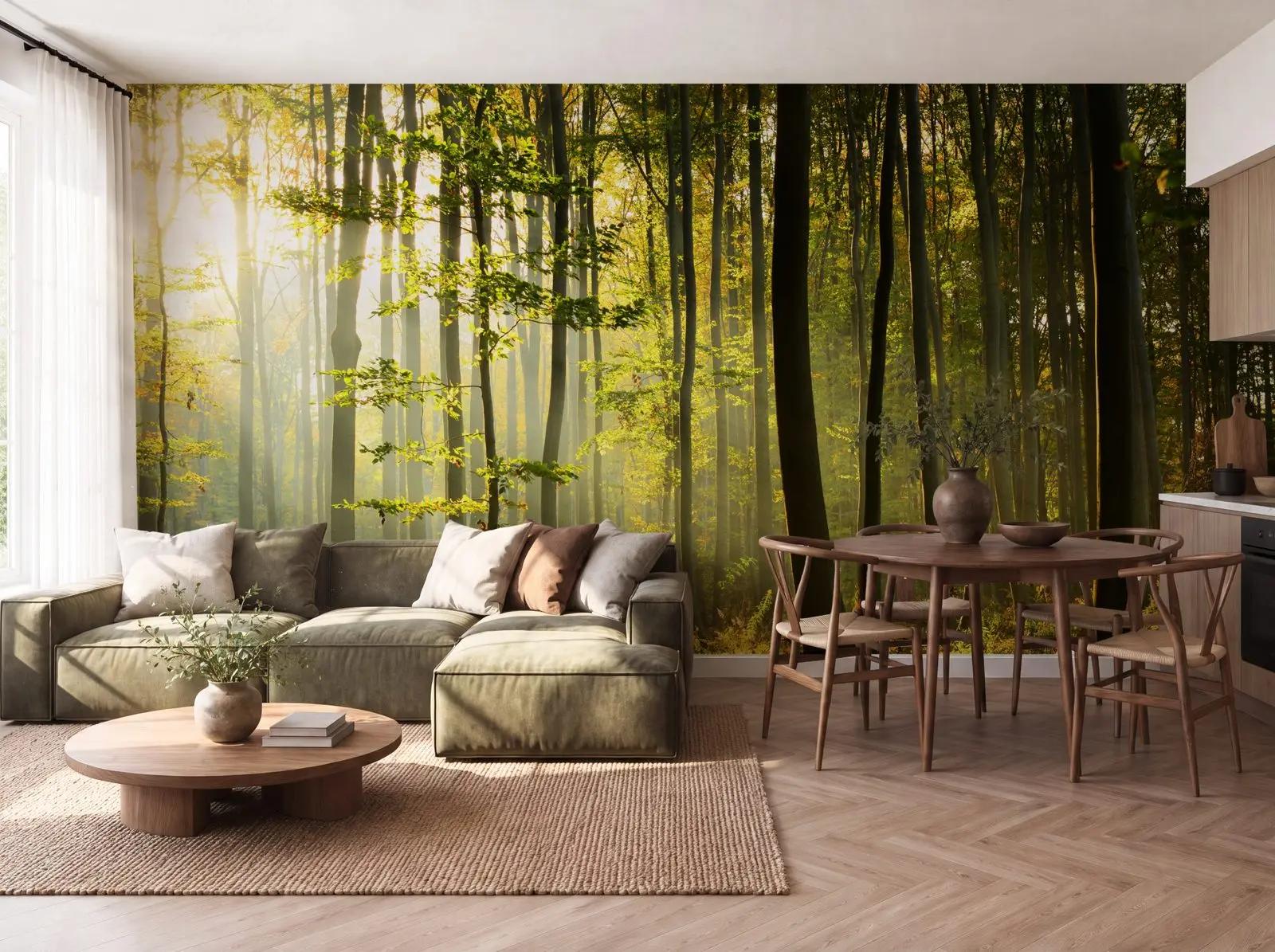 Sunlit Forest Wallpaper From Nature