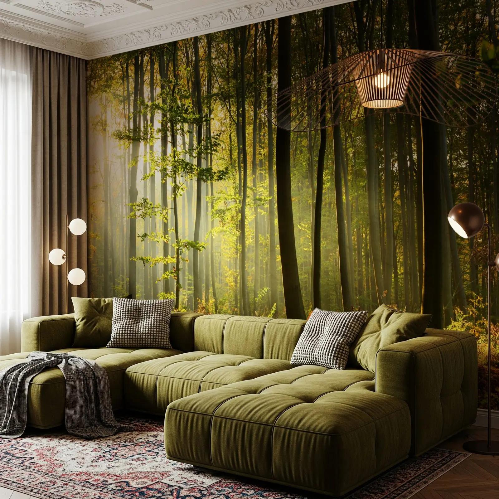 Sunlit Forest Wallpaper From Nature