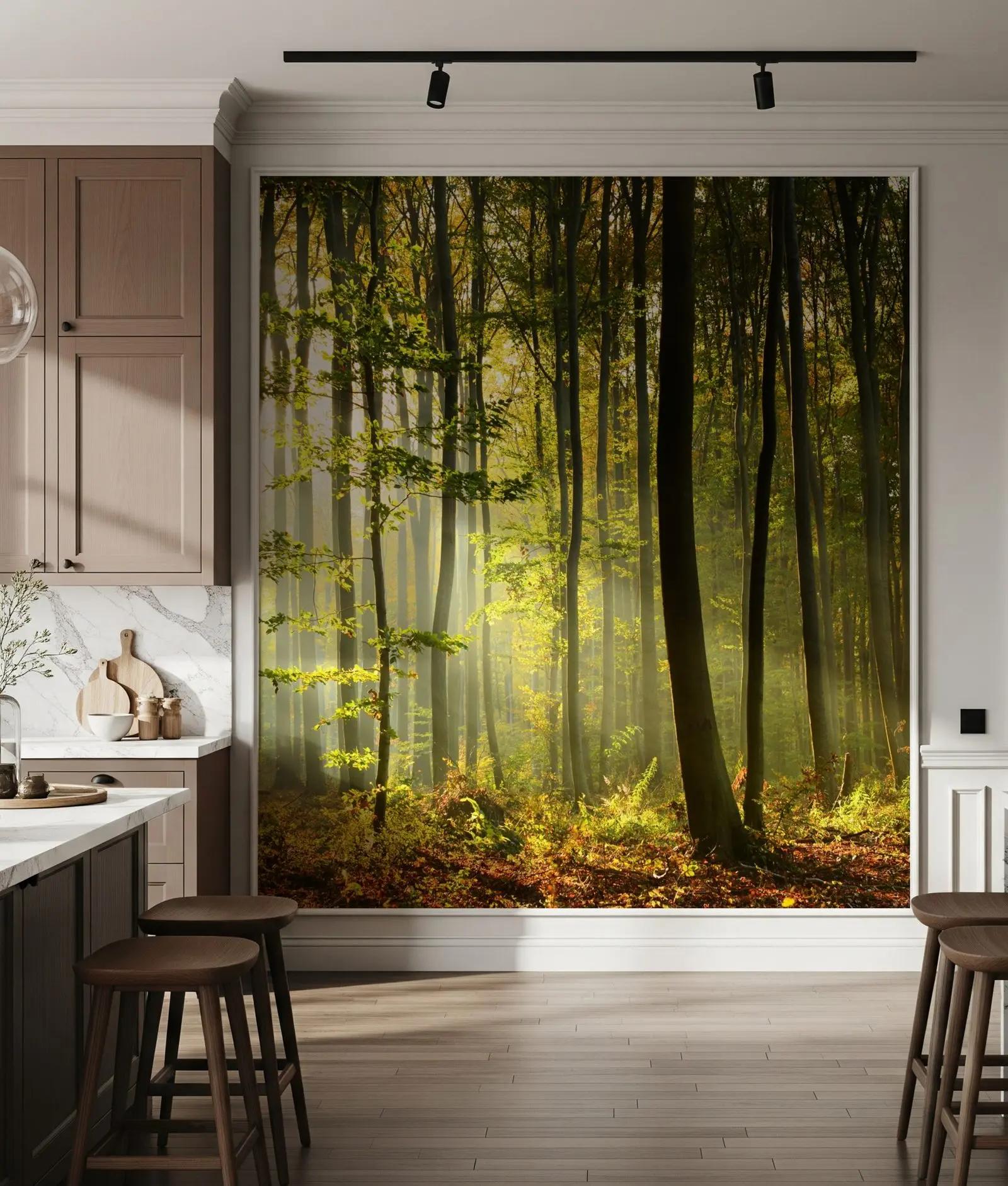 Sunlit Forest Wallpaper From Nature
