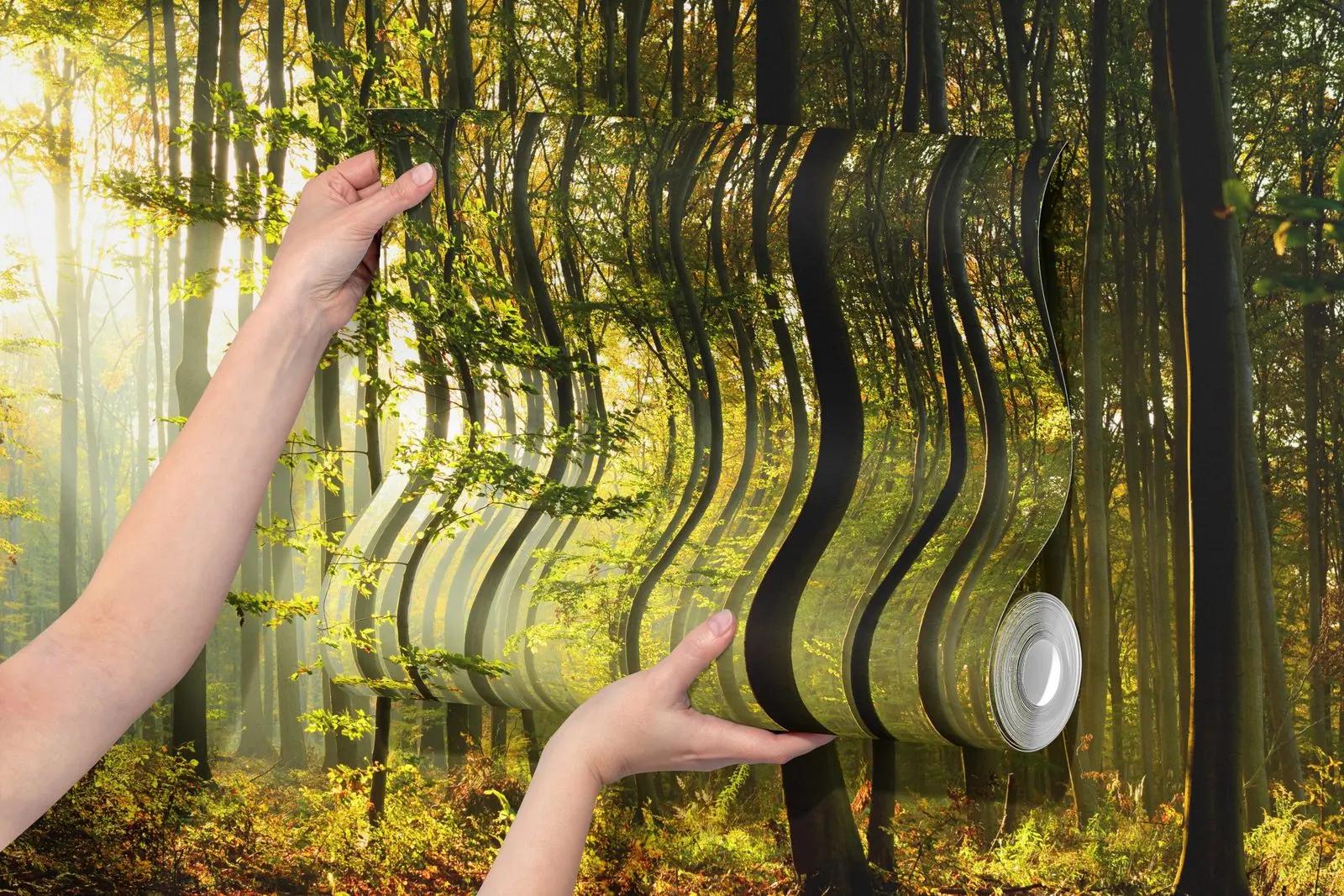 Sunlit Forest Wallpaper From Nature