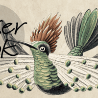 Antique Hummingbirds Wallpaper Mural 4