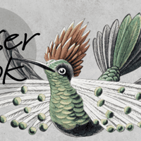 Antique Hummingbirds Wallpaper Mural 4