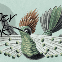 Antique Hummingbirds Wallpaper Mural  4