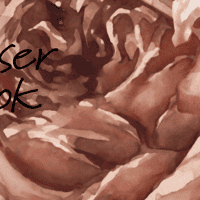 Watercolor Floral Bouquet Elegant Wallpaper Mural 7