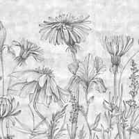 Sketchbook Wildflowers Monochrome Wallpaper Mural 7