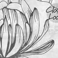 Sketchbook Wildflowers Monochrome Wallpaper Mural 6