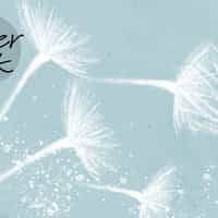 Serene Dandelion Wisps Kids Room Wallpaper 4