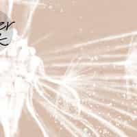 Serene Dandelion Wisps Kids Room Wallpaper 4