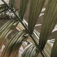 Tropical Rainforest Palm Wallpaper Mural 6