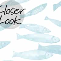Serene Watercolor Fish Pattern Wallpaper Mural 5