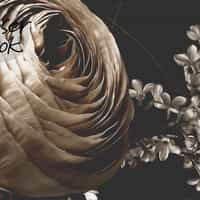 Midnight Florals Elegant Wallpaper Mural 8