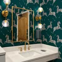 Wildlife Zebra with Arrows Wallpaper Mural 1