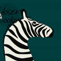 Wildlife Zebra with Arrows Wallpaper Mural 3