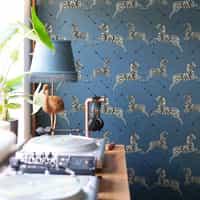 Wildlife Zebra with Arrows Wallpaper Mural 1