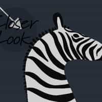 Wildlife Zebra with Arrows Wallpaper Mural 3