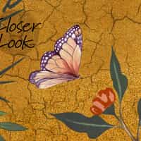 Chinoiserie Peacock and Blossom Wallpaper Mural 7