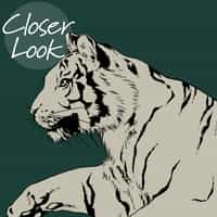 Wild Tiger Pattern Wallpaper Mural 3