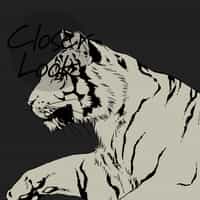 Wild Tiger Pattern Wallpaper Mural 3