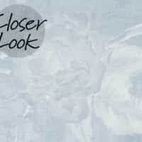 Soft Floral Elegance Peacock Wallpaper Mural 5