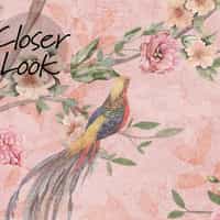 Floral Elegance Peacock Rose Garden Wallpaper Mural 4