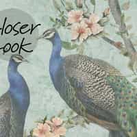 Floral Elegance Peacock Rose Garden Wallpaper Mural 4