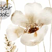 Delicate Wild Bloom Garden Wallpaper Mural 5