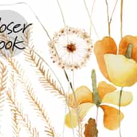 Delicate Wild Bloom Garden Wallpaper Mural 6