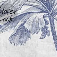 Vintage Sepia Palms Botanical Wallpaper Mural 5