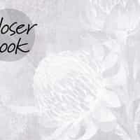 Soft Bohemian Elegance Flower Wallpaper Mural 3