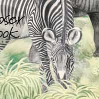 African Safari Panorama Wildlife Wallpaper Mural 6