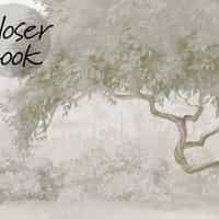 Elegant Waterfront Flamingo Landscape Wallpaper Mural 7