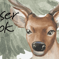 Whimsical Forest Wildlife with Rainbow Kids Wallpaper Mural 5