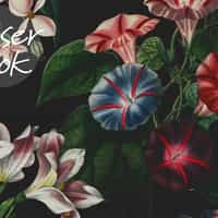 Enchanting Nocturnal Floral Garden Wallpaper Mural 5