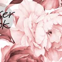 Soft Rose Floral Delicacy Wallpaper Mural 3