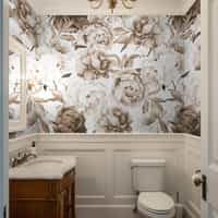 Soft Rose Floral Delicacy Wallpaper Mural 5