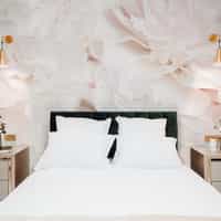 Soft Blush Peony Petals Luxurious Wallpaper Mural 1