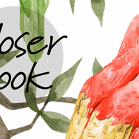 Colorful Parrots Paradise Botanical Wallpaper Mural 8